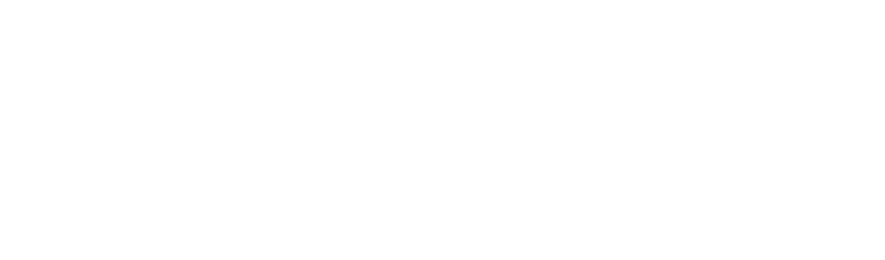International Institute for Sustainability logo